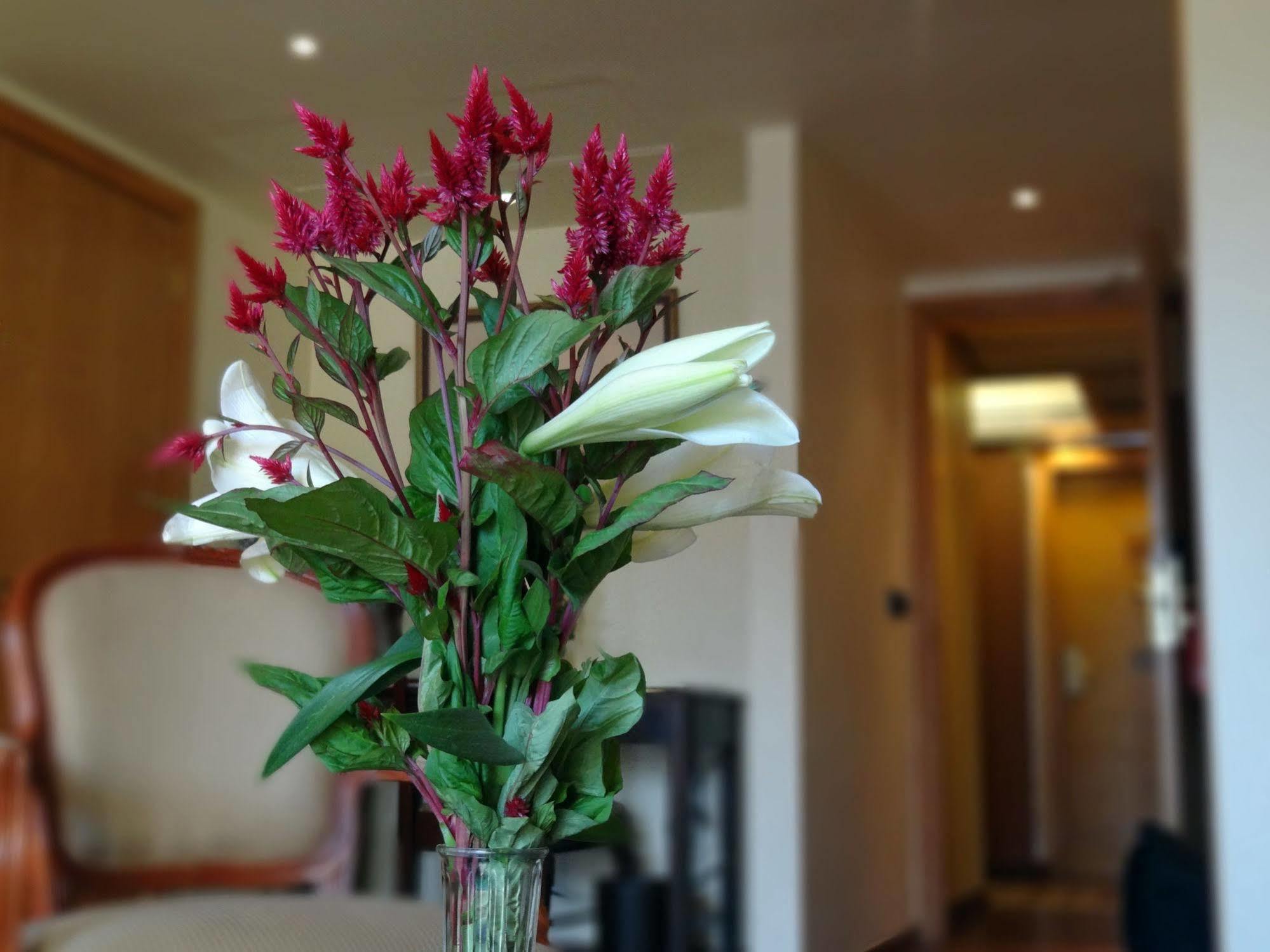 Hotel Le Commodore Beirut